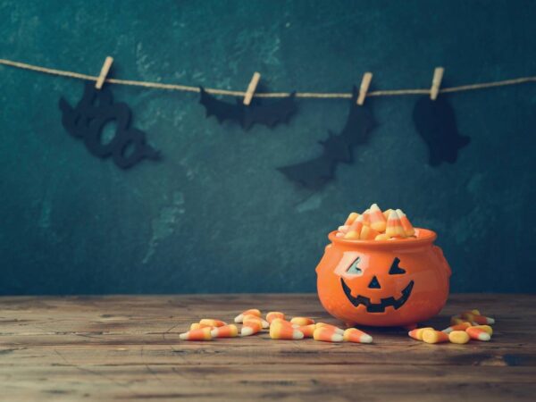 Trick-or-Treat Budget Tracker App